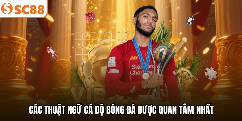 Các thuật ngữ cá độ bóng đá được quan tâm nhất