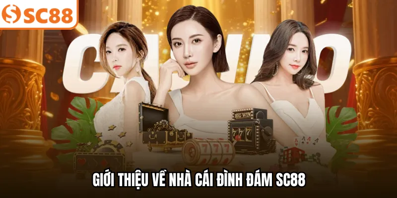 Giới thiệu về nhà cái đình đám SC88