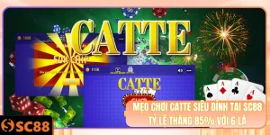 Ảnh đại diện chơi catte siêu đỉnh