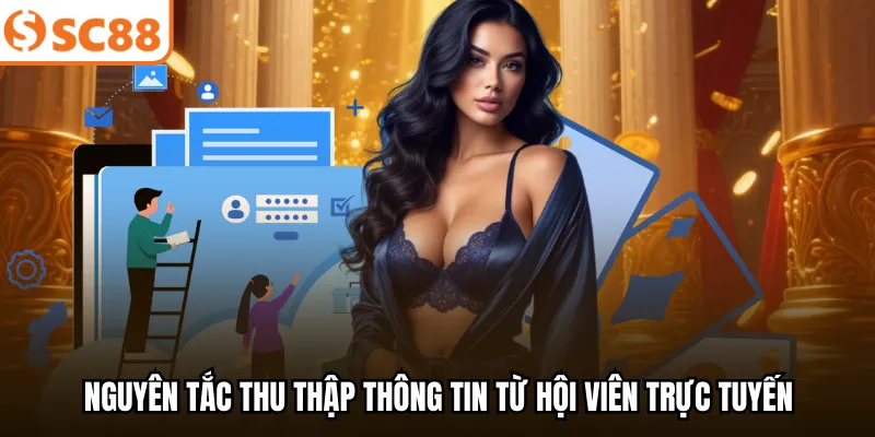 Nguyên tắc thu thập thông tin từ hội viên trực tuyến